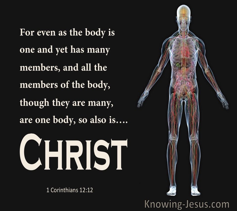 1 Corinthians 12:12 The Body Is One With Many Members So Also Christ (black)